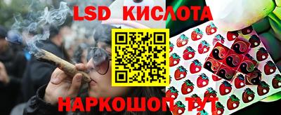 индика Кунгур
