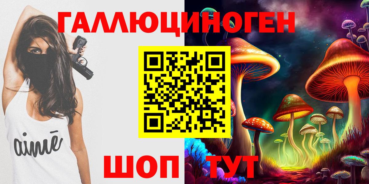 Галлюциногенные грибы Psilocybe Волгодонск