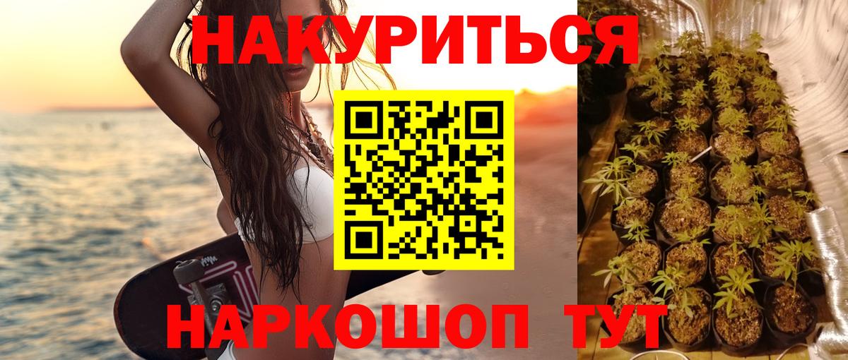 Бошки Шишки OG Kush  Бошки Шишки план  Бошки Шишки сатива  Вход с VPN  Волгодонск 